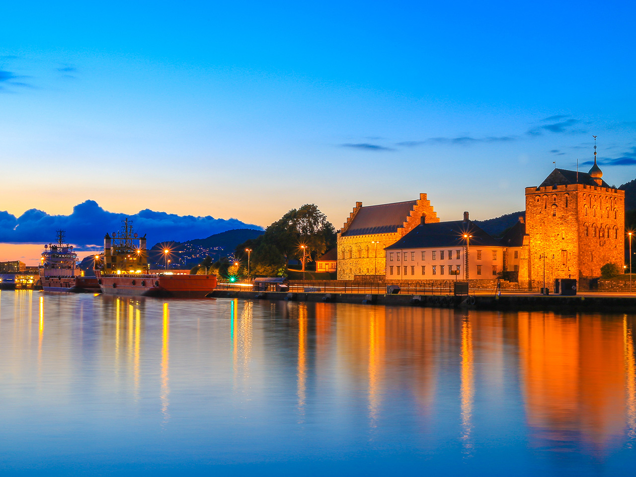 The fortress and vessels seen from the bay