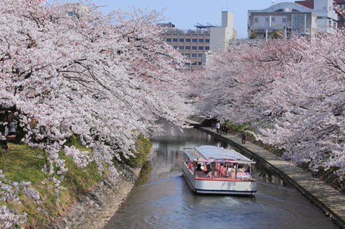 Toyama is awesome in the spring